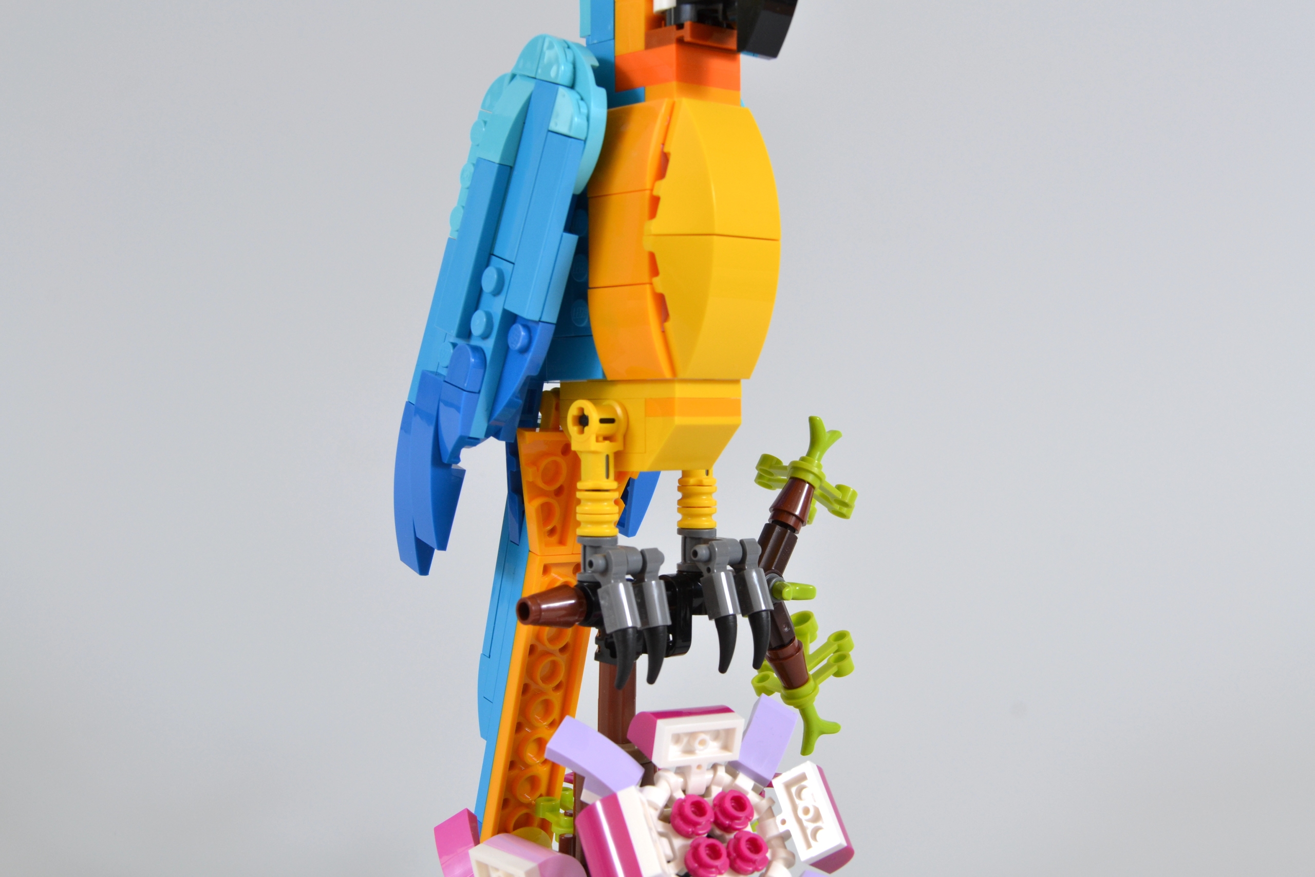 DSC 1044 1 scaled