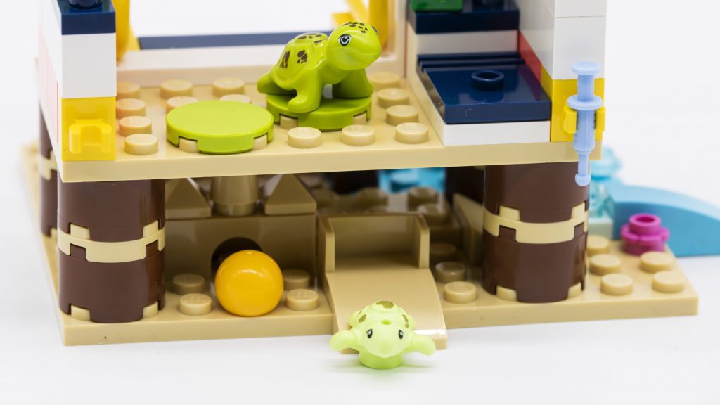 baby turtle at reverse 1024x576