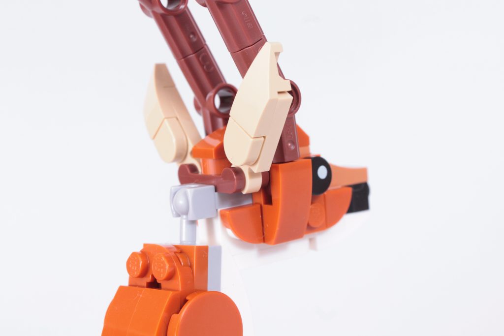 LEGO Creator 3 in 1 31150 Wild Safari Animals review 26 1024x683