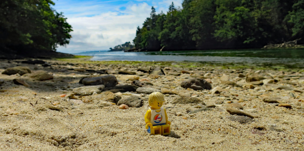 Brick Pic of the Day: Life is a beach